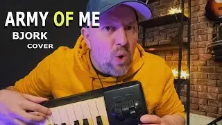 Bjork - Army of Me ( cover )