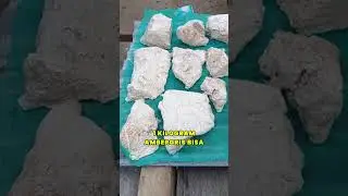 How Expensive Is Whale Vomit?