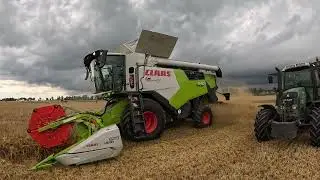 Małe żniwa 2024 czas start ❕Wielki powrót deszczu 🌧️