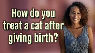 How do you treat a cat after giving birth?