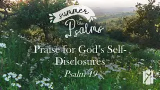 Praise for God's Self-Disclosures // Psalm 19