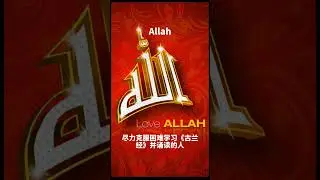 背诵和诵读古兰经的人#穆罕默德 #古兰经 #allah #islam #kuran