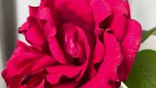 Meditation New Moon in Gemini ~ May 27 2025