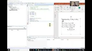 Using CPLEX [L1] - My first LP