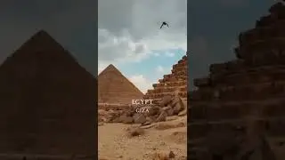 Step To Egypt: 𝐘𝐨𝐮𝐫 𝐃𝐫𝐞𝐚𝐦 𝐓𝐫𝐢𝐩 𝐭𝐨 𝐄𝐠𝐲𝐩𝐭, 𝐃𝐞𝐬𝐢𝐠𝐧𝐞𝐝 𝐉𝐮𝐬𝐭 𝐟𝐨𝐫 𝐘𝐨𝐮!