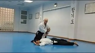 Aikido Sevilleja. Semana del 7 al 11 de Noviembre. Shomen Uchi.