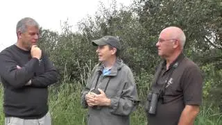 Introducing Spurn Migration Festival 2014