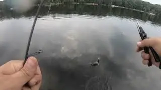 BIG BASS LAKE trip 2.