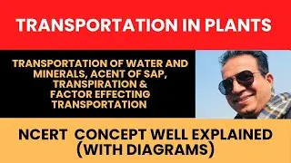 🎯Transportation in Plants | Xylem, Transpiration & Ascent of Sap | Class 10 Science Chapter 6 NCERT