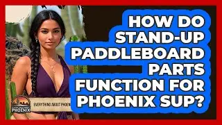 How Do Stand-up Paddleboard Parts Function For Phoenix SUP? - Everything About Phoenix