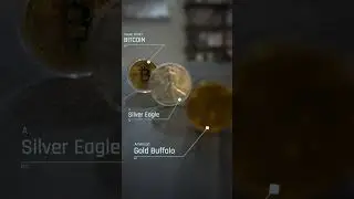 Gold, Silver, or Bitcoin???