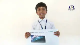 🌊 World Tsunami Awareness Day &ndash; November 5, 2025 🌊