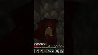 Trying To Get Ender Pearls #pineysays #minecraft #enderpearls #gaming #nether