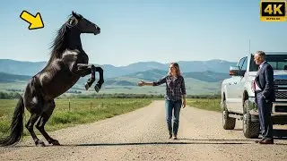 TEN MILLION IF YOU SAVE THAT WILD HORSE! THE MILLIONAIRE TOLD THE YOUNG ORPHAN