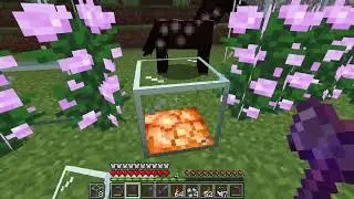 Pick up Glass Blocks guide, how to avoid breaking them completely - Minecraft 1.21