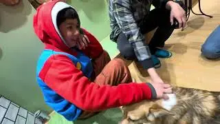 A short visit to Rio puppy cafe | tokyo japan