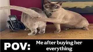 POV Memes Compilation | Try Not To Laugh Challenge (IMPOSSIBLE) Part 6🤣