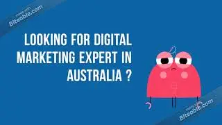 Top Seo Tips &mdash; Technocrat automation review  Digital Marketing Expert