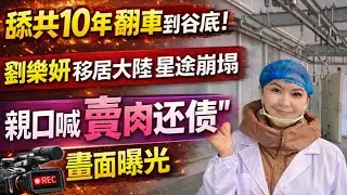 舔共10年翻車到谷底！劉樂妍移居大陸星途崩塌，親口喊「賣肉還債」畫面曝光｜北美王律觀台海第956期｜10 Years in China — From Celebrity to Selling Meat