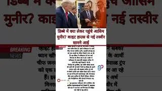 Pakistan Army Chief Asim Munir Presents Rare Earth Minerals Box to Donald Trump at White House