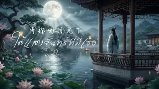 [Official Lyric Video] ใต้แสงจันทร์ที่มีเธอ | เพลงรักดนตรีจีนสุดโรแมนติก