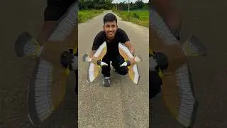 Remote control bird rc car lol