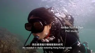 Postgraduate research at SWIMS