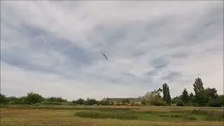 New Fever UL Sport Kite.