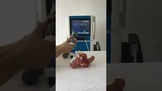 Double wave 2 in 1 shockwave therapy machine SW500