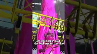 Triple Inkstrike Source Inspiration?? #splatoon3 #splatoon #nintendo #splatfest #splatoon3sideorder