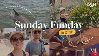 Sunday Funday in St. Pete, Florida: Craft Kafe, Ceviche Bites & Vinoy Park Dolphins Sites