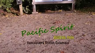 Pacific Spirit Regional Park
