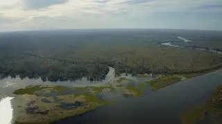 Only on News 15: Saving the Maurepas Swamp in St. John the Baptist Parish