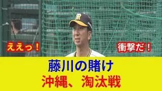 速報！藤川阪神、衝撃のメンバー選考判明！劇的展開、スター激突？