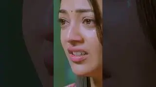 Jr NTR Ke Saamne Prakash Raj Hua Emotional #TheSuperKhiladi #JrNTR #KajalAgarwal #PrakashRaj #Shorts