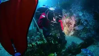 Ghost Diving New Zealand - Taputeranga recovery