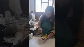 Nomadic Life: Traditional Rural Cooking of Iranian Nomads 🍲🔥