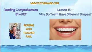 Reading Comprehension - B1 - Lesson 15 - Why Do Teeth Have Different Shapes?