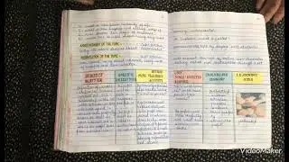 Macro lesson plan( part-1) B.ed -3 semester #art #files 