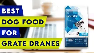 ✅ 5 Best Dog Food For Great Danes !
