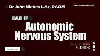 Autonomic Nervous System: Health Tips