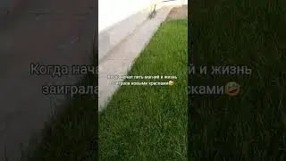 Начал пить🤣 #котоканал #cat #прикольныекоты #котик #втоп #врек #funny #funnycats #funnyshorts #жиза