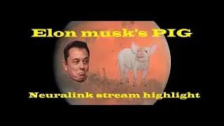 ELON MUSK NEURALINK PIG DOES THE SHUFFLE