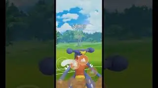 Garchomp vs Garchomp in the lead #shorts #pokemongo Thank you for 9K 😇