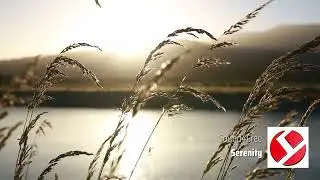 🎵 Serenity  [Royalty Free Music] ▿ Chill ▿ Ambient ▿