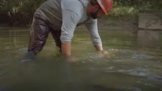 Sea Lamprey In The Great Lakes | BTS Documentary Filming