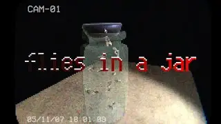 FLIES IN A JAR