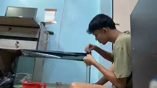 How to change fish tank background at home