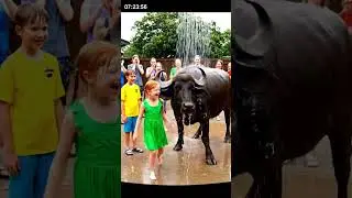 🐃 Buffalo Shower 🚿🚿 | CCTV Footage 2025
