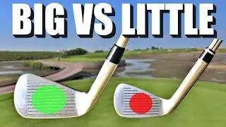 THE MINI CLUBHEAD GOLF CHALLENGE | Are these good practice Golf Clubs?